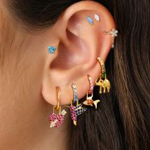 1PC Stainless Steel Animal Drop Earrings for Women Colorful Zircon 18k Gold Plated Huggies Earring Hypoallergen Piercing Jewelry
