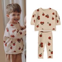 Baby Kleidung setzt Frühling Kleinkind Mädchen lässig Tops Pullover Hosen Kinder Outfits