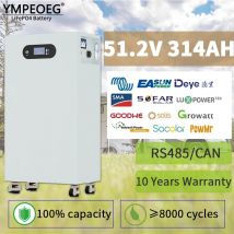 100% Full Capacity 51.2V 280Ah/314Ah Built-in BMS LiFePO4 Battery Pack Brand New Grade A 15KWh/16KWh Solar Power Bank for RV