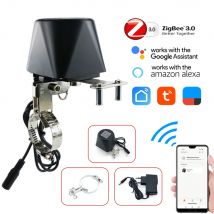 Tuya Zigbee inteligentny zawór gazowy WIFI ogród wyłącznik wody timer kontroler nawadniania z Alexa asystent Google SmartLife
