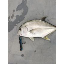 Kingdom Mini Popper Fishing Lure 50mm 3.5g Floating 5g Sinking Artificial Hard Baits Wobblers Bass Pike Catfish Swimbait Minnow