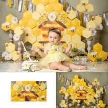 Bienen trugen Thema Baby Kinder Geburtstag Kuchen zerschlagen Fotografie Kind Foto Garten Blumen Foto Hintergründe