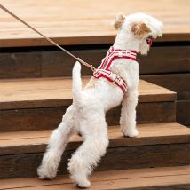 Einstellbare Hund Y-förmigen Haustier Brust Zurück Mit Reflektierende Riemen Ohne Seil Weiche Hund Haustier Geschirr Für Welpen Outdoor liefert