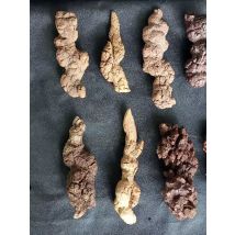 1000 g COPROLITE Dinosaurier Dung Geruchsfrei Scharf geformter Probe Stein Madagaskar