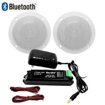 Herdio Wodoodporny wbudowany wzmacniacz klasy cyfrowej Głośnik sufitowy kompatybilny z Bluetooth 160 W 4-calowy aktywny głośnik obciążenia do użytku w pomieszczeniach