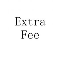 Extra Fee Special payment link