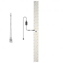 350W LED Grow Lights Full Spectrum Quantum Board Indoor Greenhouse Tent Vegetables Flower Potted Plants Fill Lighting AC100-277V