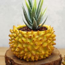 1-Durian-förmiger Blumentopf, Fensterbank-Blumentopf, lustiger Blumentopf in Fruchtform, Blumentopf für Heimdekoration