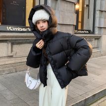 Winter Zipper Up Puff Mit Kapuze Parkas Frauen Koreanische Stehkragen Kurze Unten Baumwolle Jacke Frau Langarm Verdicken Warme Mantel Mujer