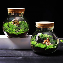 Mikro landschaft Glasflaschen mit Kork deckel Glasvase Bryophyte Moos Pflanzen behälter Glas Terrarium Bonsai Desktop-Dekoration