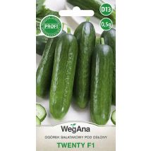 Zwanzig Salat gurken (f1) 0,5g Vegana-Gemüse gurken samen
