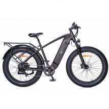 Bici elettrica DYU King 750 lite 26'', motore 750W, batteria 18AH, pneumatico grasso 4.0, portapacchi posteriore, freno idraulico.