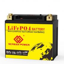 20L-BS Lithium-Motorradbatterie LiFePO4 12V 620A 12Ah mit BMS für ATV, Quad, UTV, Roller, Rasenmäher, Generatorbatterie Harley