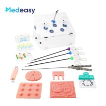 Laparoskopowy symulator endotrainera Skrzynka szkoleniowa Laparoskop Endo Trainer Sprzęt do nauczania praktyki