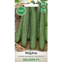 Saladin F1 Salatgurke 0,5 g VegAna pflanzliche Gurkensamen