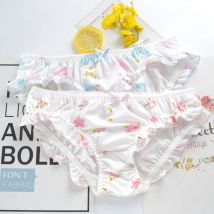 Florale Wolken Cartoon süße schöne süße Frauen Lolita Prinzessin Stil Rüschen Stretch Unterwäsche niedrige Taille Milch Seide weiche Höschen