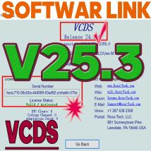 UPDATE SOFTWARE VAG COM OBD2-Scanner HEX V2 USB-Schnittstelle FÜR VW AUDI Skoda Unlimited VINs Atmega162 Mehrsprachige VCDS-WERKZEUGE