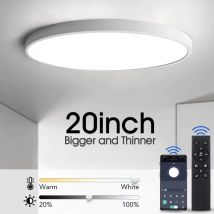 Plafoniera a LED ultrasottile Moderna lampada da soffitto grande da 20 pollici per soggiorno Luminosità dimmerabile AC85-265V Luce di pannello per camera
