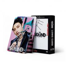New SKZOO 55 Lomo Cards SKZOOPerfect Day Li Longfu's Supporting Collection Collected Children's Birthday Toys