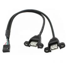 9PIN to USB Cable 9Pin 2.54mm 2.0mm to Dual USB2.0 A Female Plug Converter with Screw Hole Lock Panel for Motherboard Mount Cord