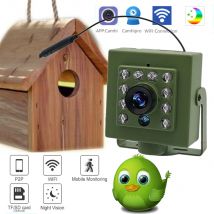 Zielona kamera Wifi Bird Box Audio 1920P 1080P IR CUT Night Vision RTSP FTP Mini IP IPC Pet Nest Bird Watching 2.8mm lens Camhi