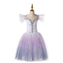 Erwachsene Romantische Tutu Ballett Kleid Für Mädchen Kinder Frauen Ballerina Kleid Leistung Ballett Tanz Kleid Zeitgenössische Tanz Kostüme