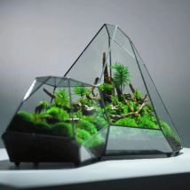 Vaso di vetro Micro paesaggio fioriera foresta pluviale serbatoio muschio Eco vaso decorazione della casa vetro geometrico stanza dei fiori vaso idroponico