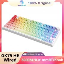 SKYLOONG GK75 HE Tastiera da gioco Interruttore magnetico Effetto Hall RT0.01mm Frequenza di polling 8KHz Trigger rapido Tastiera 75% PBT Tasti trasparenti Terrain Illuminazione RGB Macro USB Tastiera