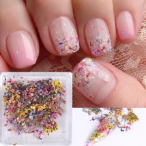 1Box Nail Art Flower Decoration Delicate 3D Dried Flower Nail Art Decorations Exquisite Nail Art