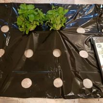 5 ~ 50m 5 agujeros plantas vegetales agrícolas cubierta película de cultivo negra invernadero mantener caliente película de plástico anti hierba