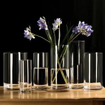 Hydrokultur Pflanzen Desktop Glas Pflanzer Vase Glas Vase Transparent Zylinder Blume Vase Schlafzimmer Desktop Hause Dekoration