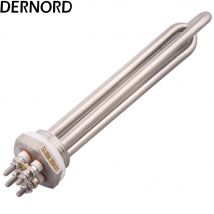 Element grzejny 12v 24v 36v 48v 300W 600W SUS304 DN25 DC zanurzeniowy grzejnik rurowy solarny/elektryczny