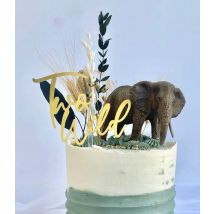 Two wild - Birthday Cake cupcake charm Topper，Baby's birthday cake topper,2nd birthday party cake decoration，Photography props