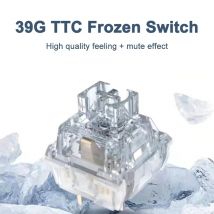 TTC Frozen Silent Switch V2 Tastiera meccanica Interruttori lineari muti 39 gf 3 pin RGB Trasparente Lubrificazione di fabbrica PC personalizzato
