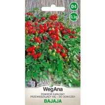 Bajaja-Tomate 0,3g Samen-Vegana