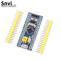 Snvi STM32F103C8T6 STM32F030C8T6 APM32F103CBT6 ARM STM32 Micro TYPE-C System Development Board Modul für Arduino