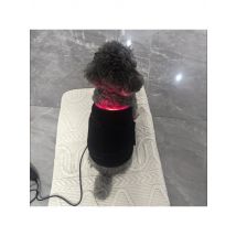 Cold Laser Therapy Device for Dogs Infrared Light Therapy for Pets Red Light Therapy Belt for Joint and Muscle Pain Relief