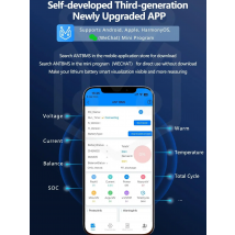 Smart ANT BMS 10-24S 120A/220A Bluetooth LiFePO4 Battery Management System  for 12V 24V 36V 48V High-Voltage Inverter Solar RV