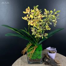 SunMade High-End 2-Gabeln Frühlingsmelodie Orchideen mit grünen Blättern Künstliche Seidenblumen Winzige Blumen Hausgarten Dekoration DIY