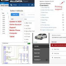 Alldata 2025, neuestes Online-Konto Hay-nes Pro Mit-chell Workshop Autoreparatursoftware, unterstützt mobile Anmeldung
