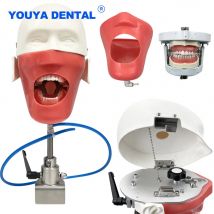 Dental Training Phantom Kopf Simulation Zähne Modell 360-grad Einstellung Bench Mount Lehre Klemme Für Tisch Zahnarzt Praxis
