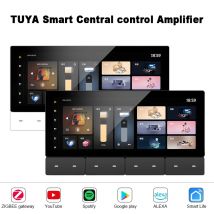 Nuevo tipo de Panel de Control inteligente Tuya de 6,2 pulgadas Zigbee Gateway 8 botones relé multifunción reproductor Bluetooth amplificadores de pared de Audio