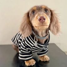 Gestreiftes Frühlings-Herbst-T-Shirt für kleine Wiener Hunde, langer ärmelloser Mantel für Dackel-Hunde, weicher Sommer-Pyjama für Wursthunde