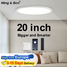 Plafoniere a LED grandi 20 pollici telecomando ultrasottile APP dimmerabile lampada moderna intelligente per soggiorno camera da letto decorazione della casa