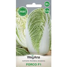 Chinesischer Kohl Forco F1 0,5 g VegAna-Gemüsekohlsamen