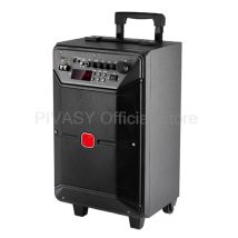 High Power Karaoke Bluetooth Speaker 8/12 Inch Outdoor Portable KTV Wireless Microphone HIFI Sound Bar for Outdoor Performances