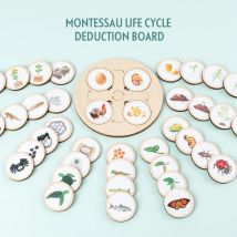 Life Cycle Board Montessori Kit Biologie Wissenschaft Bildung Spielzeug für Kinder sensorische Tablett Tier figur Lebenszyklus Sortieren Holz spielzeug