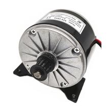 250 W DC 24 V Hochgeschwindigkeits-Bürstenmotor mit Riemenscheibe, gebürsteter Motor Gleichstrom-Permanentmagnet-Bürstenmotor MY1016
