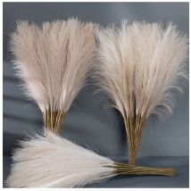 5/10/20PCS Puszysta trawa pampasowa Boho Decor Sztuczny kwiat Sztuczna roślina Trzcina Symulowana