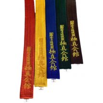 Cintura Kyokushin Taekwondo Speciale ricamato per bambini adulti Bianco Rosso Giallo Verde Nero Multicolor Opzionale Karate Jeet Cintura Kwon Do